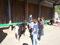2016-10-06 15-09-35 Parc de la Courneuve DLe
